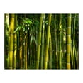 thumbnail image 3 of Tiptophomedecor Zen Wallpaper Wall Mural - Asian Bamboo Forest, 3 of 3