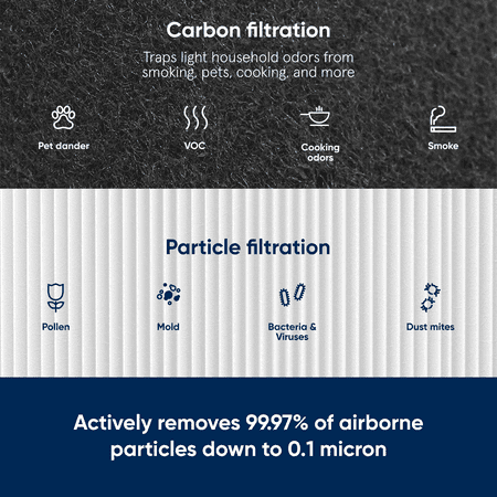 Blueair - Particle + Carbon Replacement Filter for Blue Pure 211+ Auto Air Purifier - White