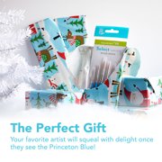 Princeton Brush Select Artiste Brush Value Set, #10