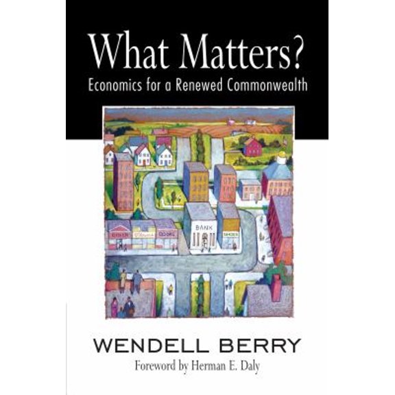 Pre-Owned What Matters? : Economics for a Commonwealth (Paperback) 9781582436067
