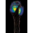 thumbnail image 2 of Maleficent Glowing Staff - Deluxe, 2 of 2