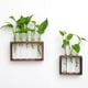 thumbnail image 1 of Arreglo floral de plantas hidropónicas con marco de madera creativo, jarrón de tubo de ensayo de vidrio con rosa verde, decoración para colgar en la pared, manualidades, decoraciones para la sala de, 1 of 5
