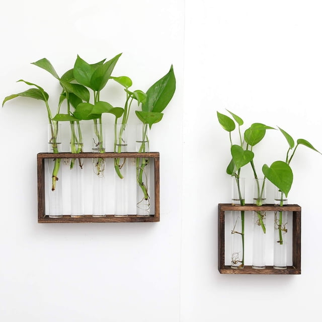 Arreglo floral de plantas hidropónicas con marco de madera creativo, jarrón de tubo de ensayo de vidrio con rosa verde, decoración para colgar en la pared, manualidades, decoraciones para