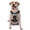 With Accessories, variant on Vsdgher Rock Guitar Guinea Pig Pattern Dog Harness,No Pull Pet Harness with Soft Padded Handle,Adjustable Reflective Vest with 2 Buckles,4 Slide Buckles,S-XL X-Large