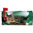 thumbnail image 3 of Coolnut Mailbox Covers, Magnetic Standard Size Cat in The Green Tunnel Seasonal Mail Wraps for Home Outdoor Decor, 20.7"x18.03", 3 of 5