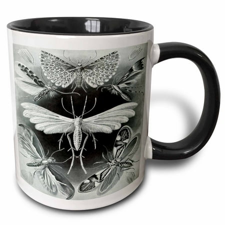 

3dRose Picture Of Vintage German Biologist Drawing of Moths - Two Tone Black Mug 11-ounce