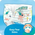 thumbnail image 5 of Pampers Splashers Disposable Swim Pants, Size Large, 10 Count, 5 of 10