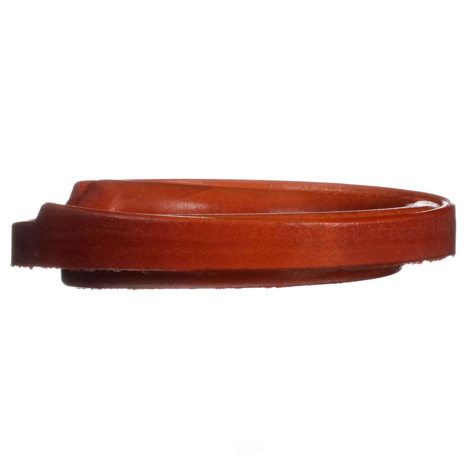 Delphi TC6474 Suspension Coil Spring Seat
