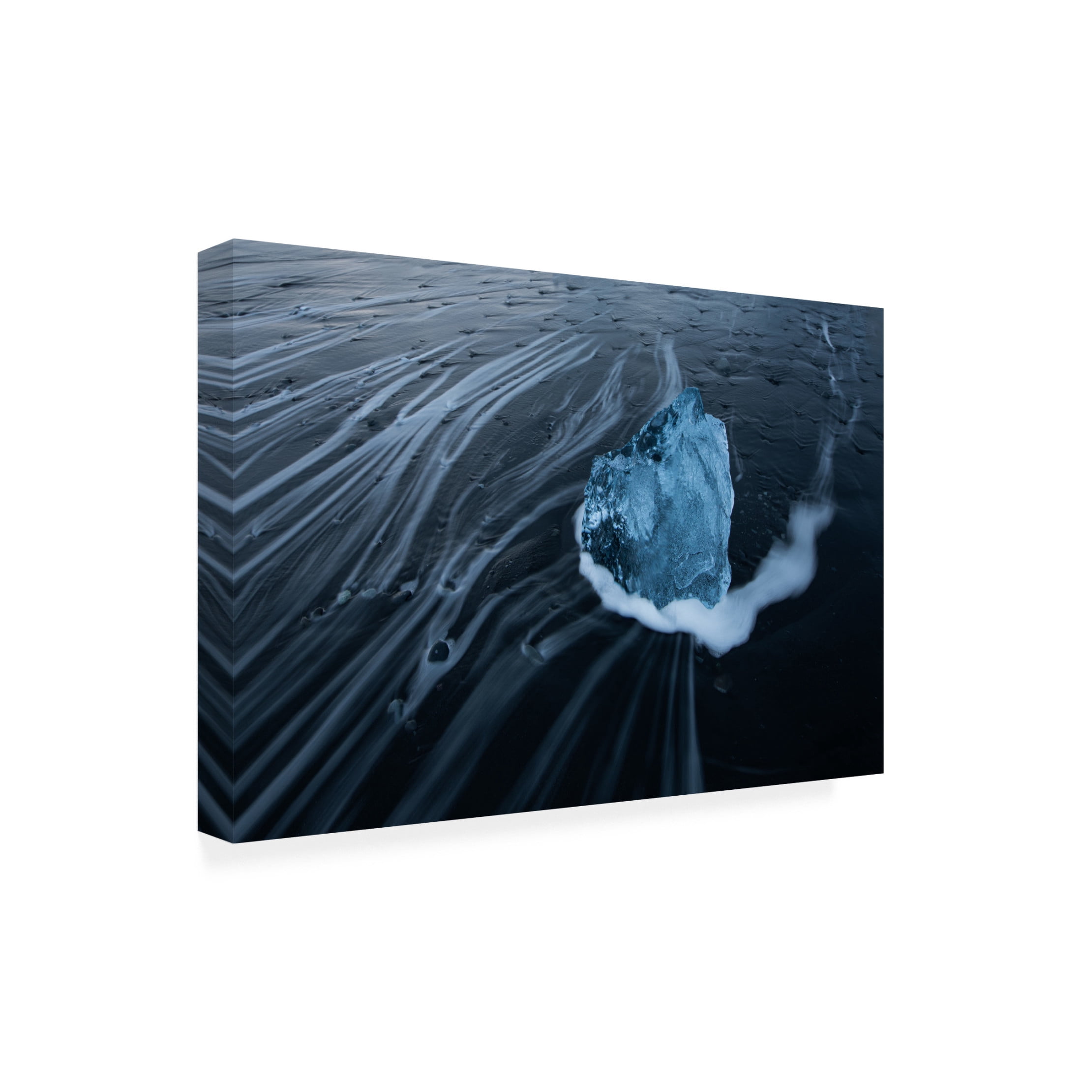 Trademark Fine Art Mei Zhang The Heart Of The Ocean Canvas Wall Art