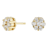 Cate & Chloe Nova 18k Yellow Gold Plated Cluster Stud Earrings with Simulated Diamonds Crystals for Women