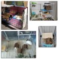 thumbnail image 2 of Puente para hámster, escalera para ratas, juguete de madera natural para jaulas de animales pequeños, escalera de madera, escondite natural para cobayas, casa para animales pequeños, 2 of 8