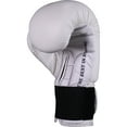 Ringside Extreme Fitness Boxing Gloves Large White