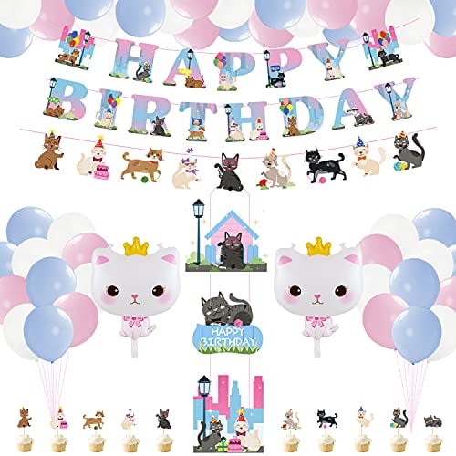 funny cat birthday party pictures