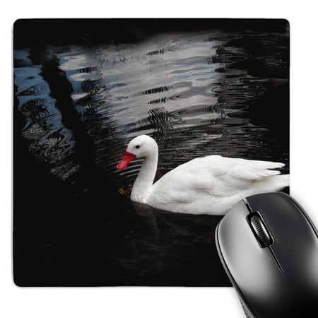 3dRose  White Duck  MousePad price history on PriceWatchPro