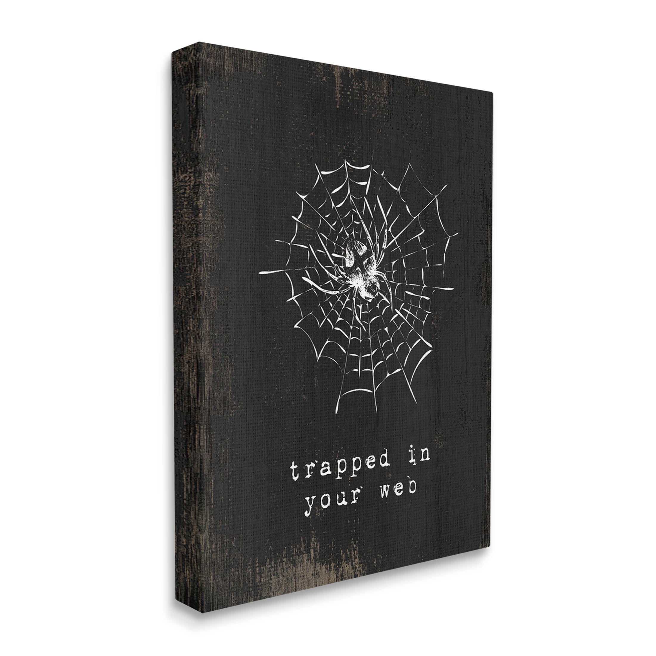 Stupell Industries Trapped In Your Web Spider Graphic Art Gallery Wrapped Canvas Print Wall Art, Design by Lil' Rue