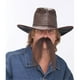 Costumes For All Occasions PM531368 Moustache le Brun de l'Ouest – image 1 sur 1