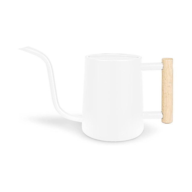 Regadera para plantas de interior PENGJJMXG 35 oz/1000 ml Acero inoxidable Pico largo Blanca