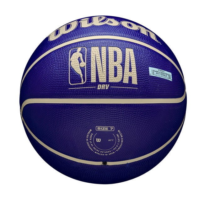 Wilson NBA DRV Outdoor Basketball
