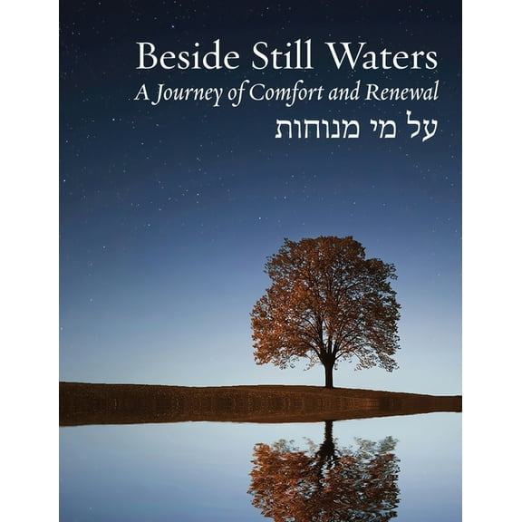 Bayit: Building Jewish: Beside Still Waters: A Journey of Comfort and Renewal - Large Print Edition (Paperback)(Large Print)