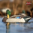 thumbnail image 6 of Avian-X Power Shaker Mallard Drake Motion Duck Decoy Floating Surface Preener, Multicolor, 6 of 12