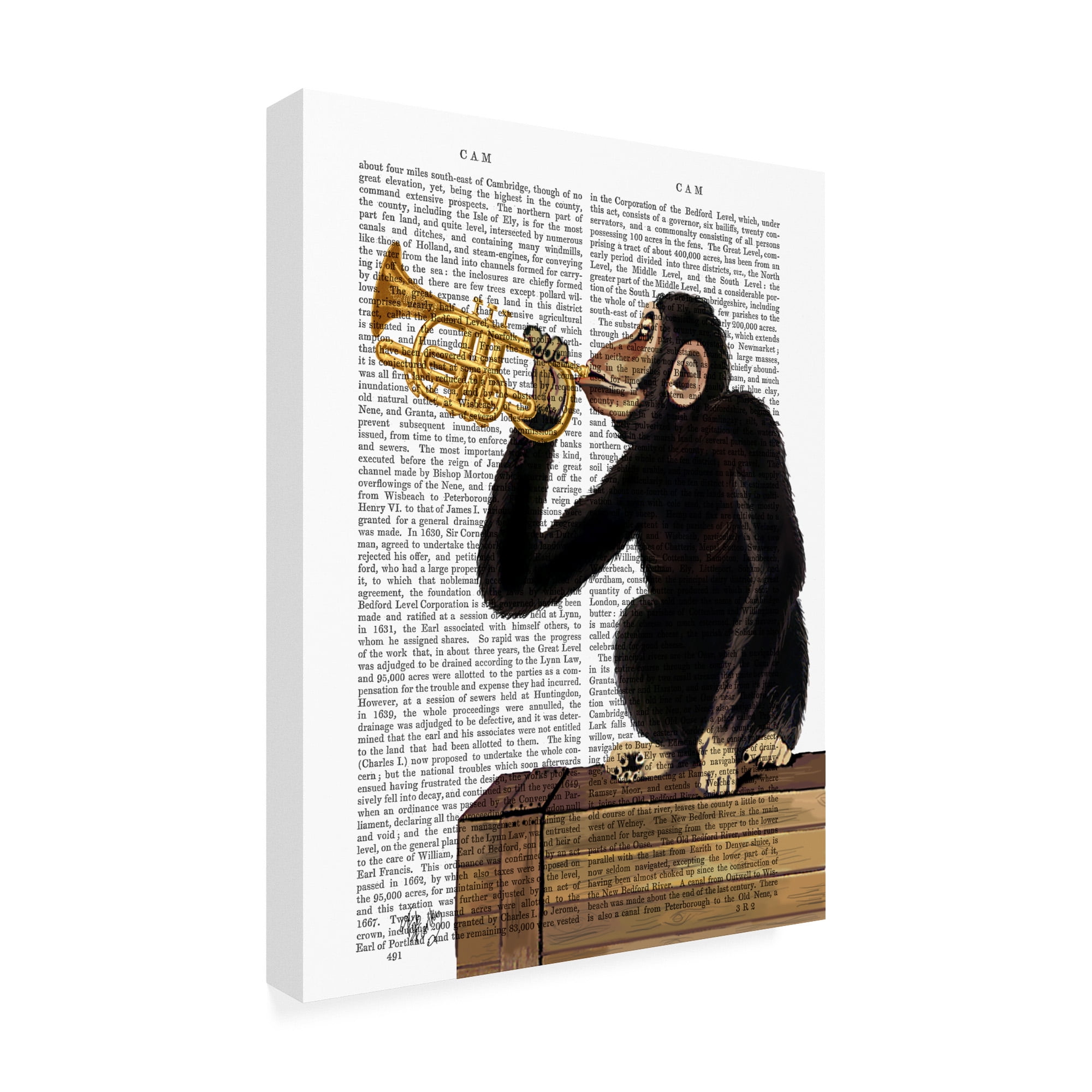 Trademark Fine Art 'Monkey Playing Trumpet' Canvas Art by Fab Funky