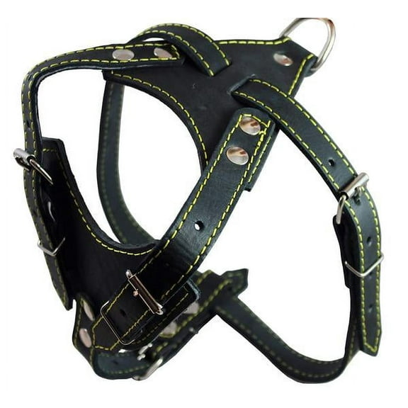 Real Leather Dog Harness, 24.5"-28" Chest size, 3/4" Wide, Dalmatian,