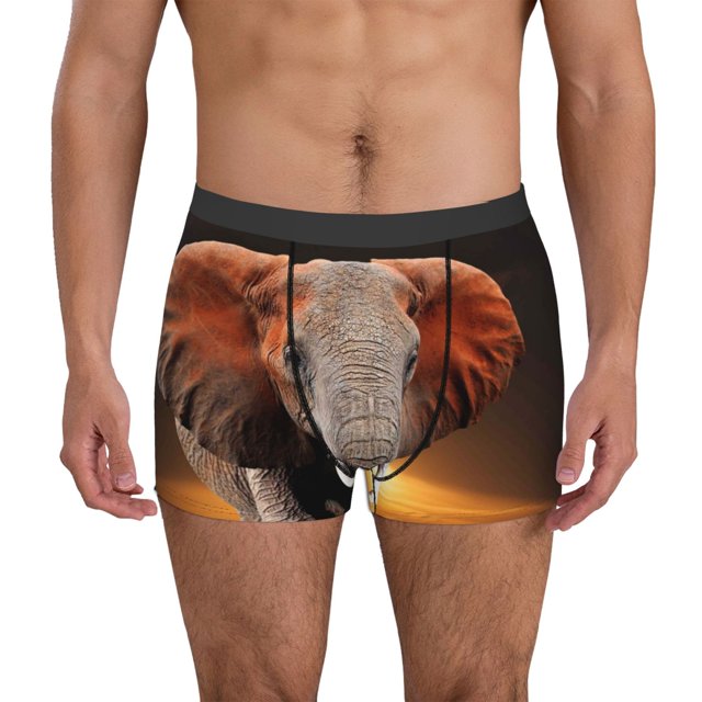 Fotbe Elephant Sunset in Kenya Calzoncillos Tipo Boxer con Bolsa de Soporte Total para Hombre, X-Temp Fresco, Transpirable y de Secado Rápido-Medium