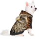 thumbnail image 2 of Balery Vintage Pattern Bald Eagle Sudadera con Capucha para Perros Pequeños – Ropa para Mascotas, Disfraz para Perros y Gatos, Ideal para Fiestas y Cosplay-XX-Large, 2 of 7