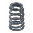 thumbnail image 2 of Sealed Power S12-VS1644 Valve Spring for 1998-2002 Chevrolet Cavalier, 2 of 2