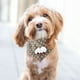 thumbnail image 5 of Bandana de tela suave para mascotas, diseño triangular, ajuste regulable, lavable a máquina, para perros, gatos, uso diario, fiestas, 5 of 6