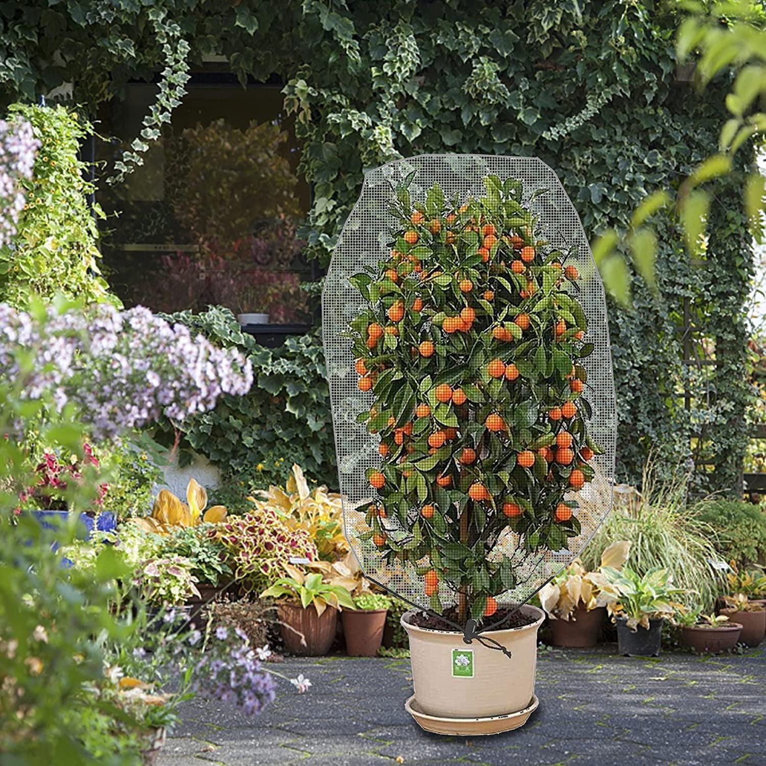 Filet De Protection Rutilisable Pour Arbres Fruitiers AntiOiseau Filet Clture De Jardin Pour