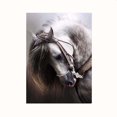 thumbnail image 1 of 5D DIY Caballo Rhinestone Diamond Pintura Redonda Resina Cristal Bordado Animal Imagen Casera Cross Cross Cross SANAG JJ12241-00, 1 of 6