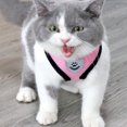 thumbnail image 5 of Arnés para gatos y mascotas, correa de malla ajustable para caminar, chaleco para cachorros, poliéster, transpirable, accesorios para gatitos, para perros pequeños y medianos, 5 of 5