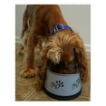 thumbnail image 5 of Dog Bowls Stainless Steel Non-Tip Keep Dry Long Ear Breed Food Water Dishes 30oz, 5 of 7