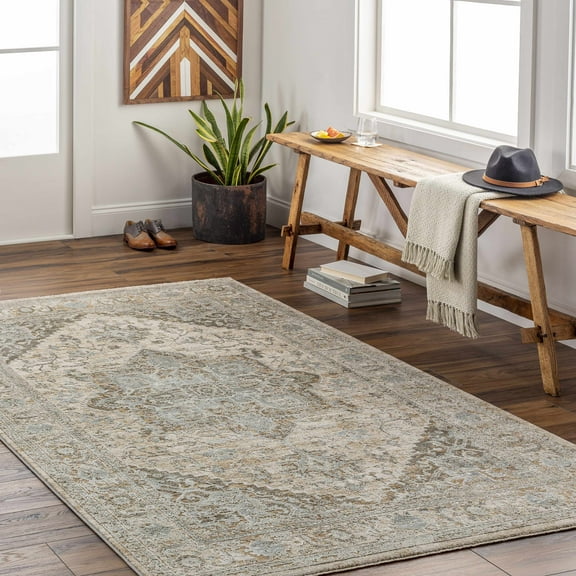 Hauteloom Ballisodare Living Room, Bedroom Area Rug - Traditional - Beige, Taupe, Light Gray - 7'10" x 10'2"