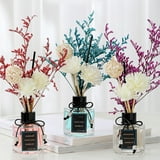Farfi 50ml Glass Diffuser Plant Rattan Deodorizing Decorative Odor ...