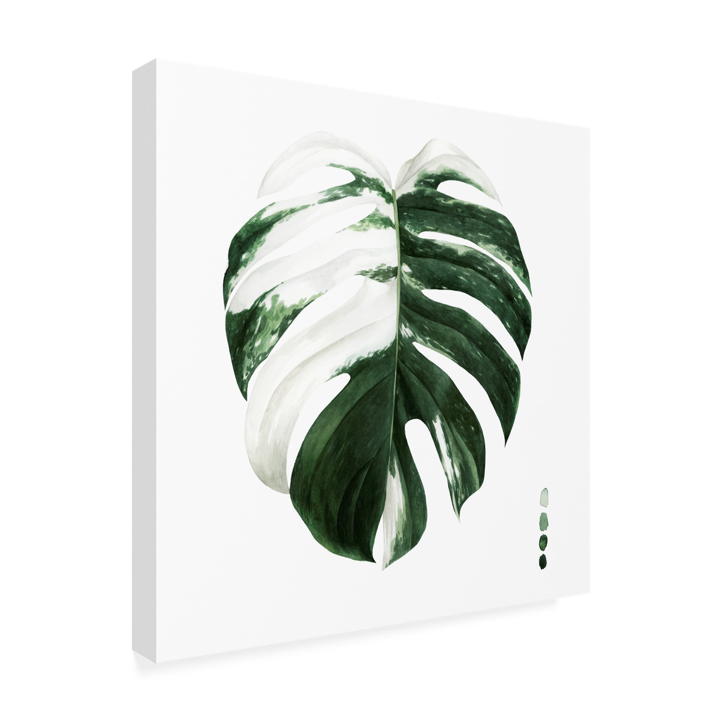 Grace Popp 'Variegated Monstera II' Canvas Art