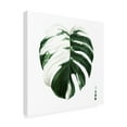 thumbnail image 2 of Grace Popp 'Variegated Monstera II' Canvas Art, 2 of 3