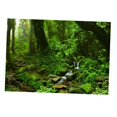 thumbnail image 2 of tredstone Aquarium Background 3D Background Poster Fish Decorations Wall Tank Sticker Grass Green 61x41cm, 2 of 4