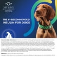 thumbnail image 3 of Vetsulin (Porcine Insulin Zinc Suspension) Insulin for Diabetes in Dogs and Cats, 10 mL, 3 of 8
