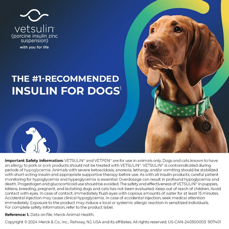 Blood Glucose Cost Of Dog Insulin Vetsulin (porcine Insulin Zinc