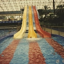 Dave Group Harrington - Become Alive - Music & Performance - Vinyl