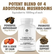DR. EMIL NUTRITION Elite Turkey Tail Mushroom Plus, 30 Servings, 2 Pk