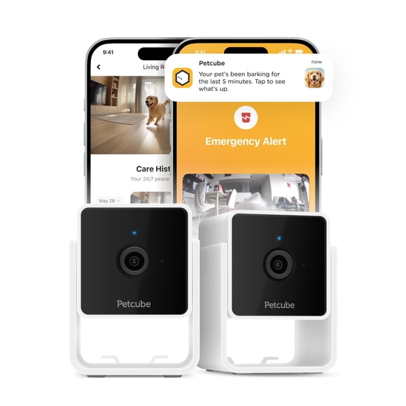 Petcube Cam El paquete de 3 | Cámara de seguridad para mascotas Wi-Fi para interiores con aplicación para teléfono, audio y vídeo bidireccionales, visión nocturna, vídeo HD de 1080p y alertas intelige