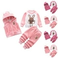 thumbnail image 4 of Odeerbi Toddler Boys Girls Fall Winter Outfits Double-Sided Fleece Sweatsuits Vest Set Cartoon Print Long Sleeve Sweatshirt Sweatpants Vest Suit Three-Piece Set Toddler Clothes Hot Pink, 4 of 4