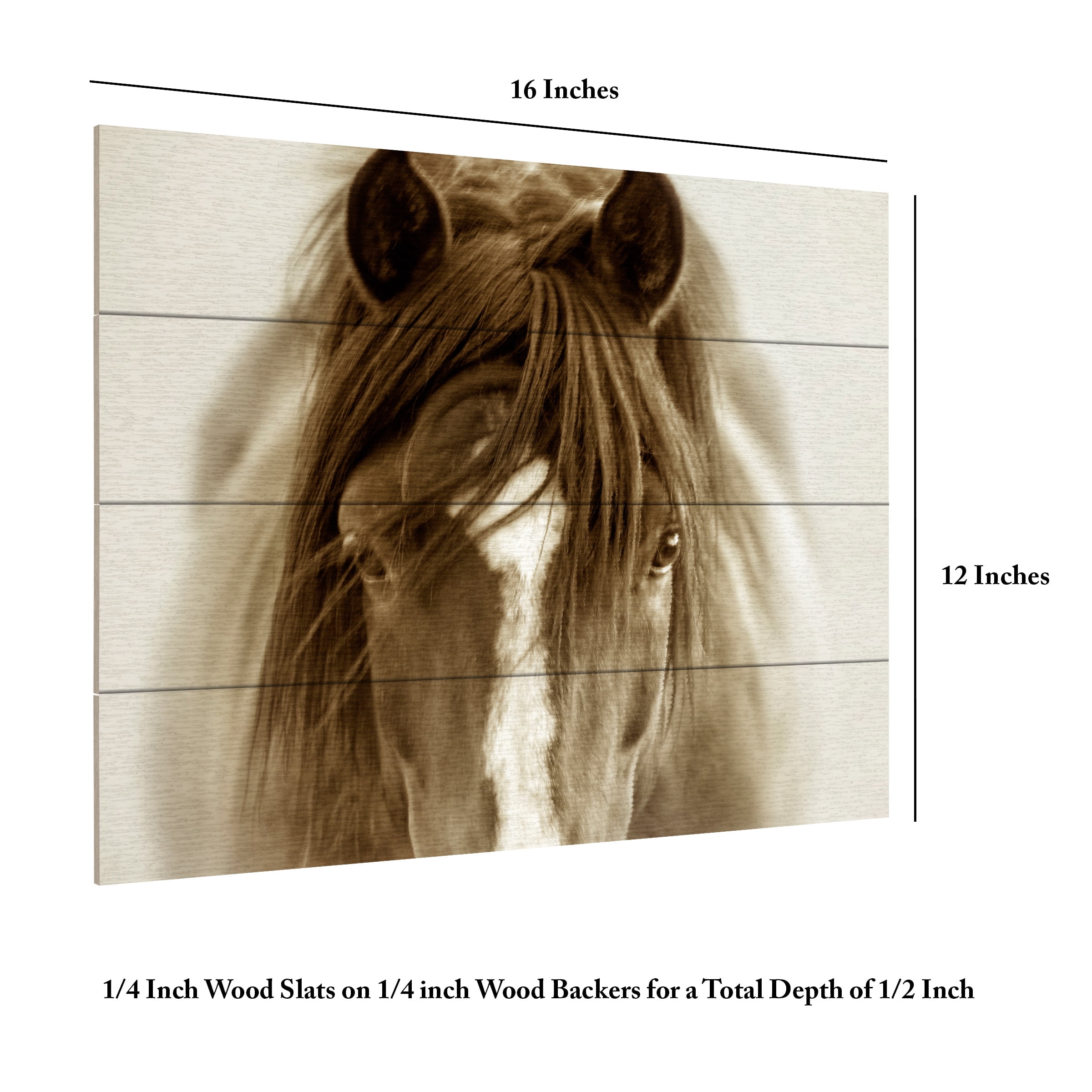 Lisa Dearing 'Ghost Horse' Wood Slat Art 12x16