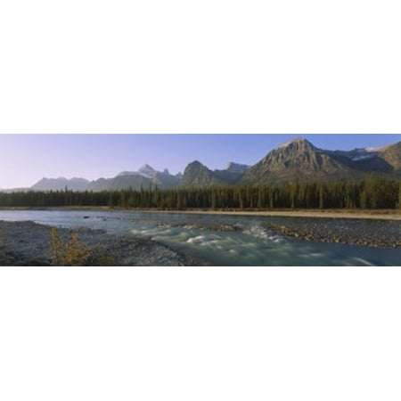 Trees along a river with a mountain range in the background Athabasca River Jasper National Park Alberta Canada Poster