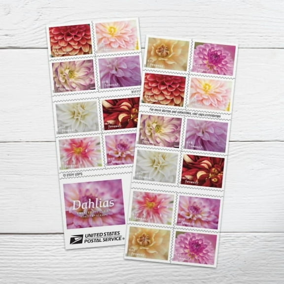 Dahlias USPS Forever Postage Stamp 1 Book of 20 US First Class Celebrate Flower Announcement Wedding Holiday (20 Stamps)
