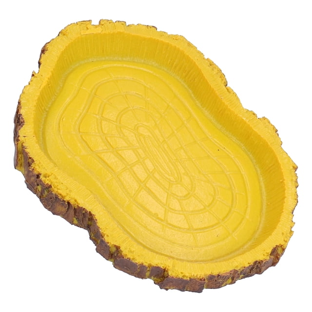 Cuenco De Comida Para Mascotas Lizard, Cuenco De Comida Para Reptiles, Duradero, Multifuncional, Decorativo Para El Hogar, Acuario, Tanque De Agua, Zoológico, Oficina, Escuela ANGGREK No