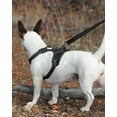 thumbnail image 3 of LAICAIW Double-Sided Reflective Dog Leash, 6 FT/5 FT/4 FT, Padded Handle Nylon Dogs Leashes for Medium & Large Dogs Walking, Black, 4FT, 3 of 6